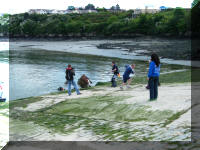 Hobbs Point Clean Up May 2008