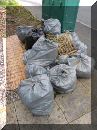Click to Enlarge: Community First Litter Pick March 2011
