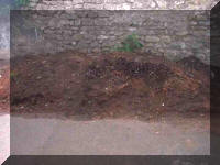 Earth 16 May 2007