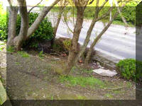 Focus  Car Park London Road edge 4 May 2006