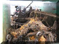 Keep Wales Tidy/ Narco Event October 2007