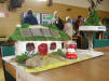 /Sustainable Pembrokeshire Event June 2007 usenergy