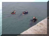  Keep Wales Tidy Week 2006 Pembroke Dock Well done Guys and Girls