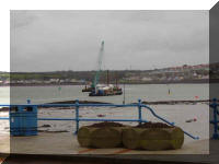 Working Barges Pembroke Dock etc November 2006